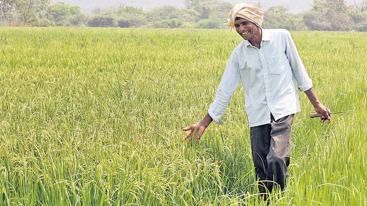 Telangana | పదేండ్ల ప్రగతి చిత్రం.. ఆర్థిక సర్వే లెక్కలే సాక్ష్యం!