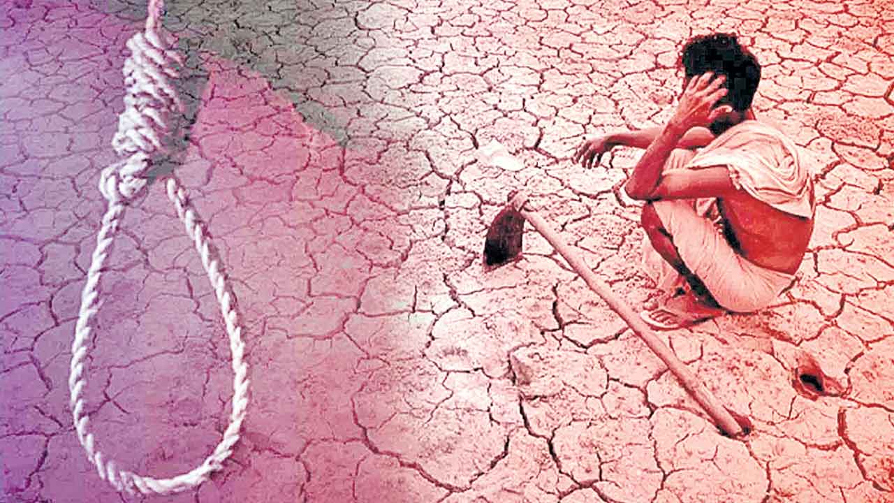 Farmers | మహారాష్ట్రలో ఆగని రైతు ఆత్మహత్యలు.. కూటమి పాలనతో దయనీయంగా అన్నదాతల పరిస్థితి