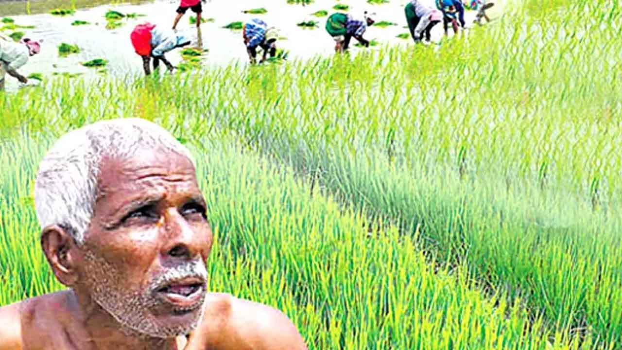 రుణమాఫీ గందరగోళం