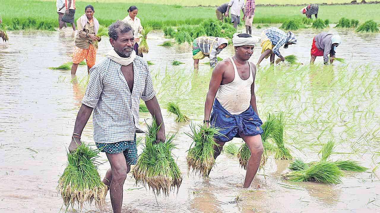 Telangana Budget | రైతు పథకాలకు అరకొర నిధులు.. లబ్ధిదారుల సంఖ్యలో కోతలు ఖాయం!