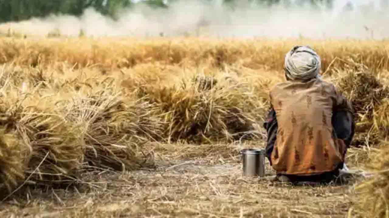 Farmers Suicide | మహారాష్ట్రలో కలవరపెడుతున్న రైతన్నల ఆత్మహత్యలు.. 6 నెలల్లో 557 మంది మృతి