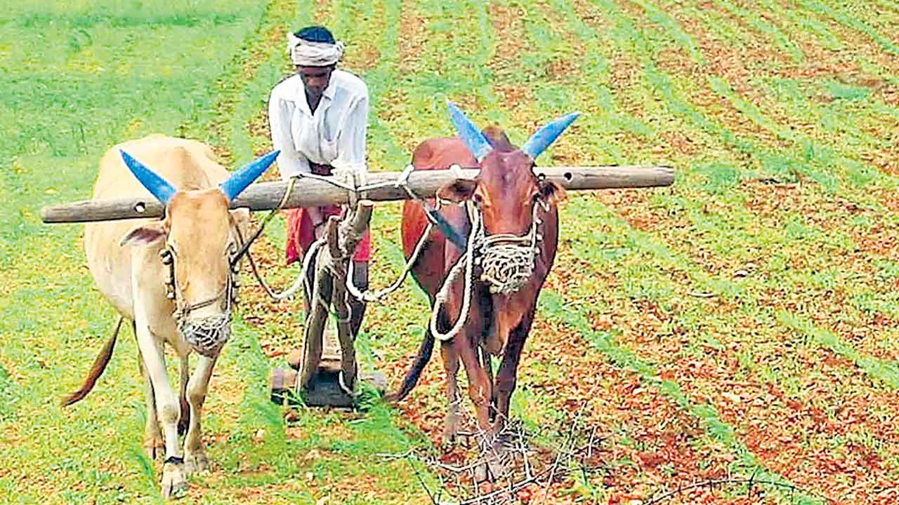 మొగులును చూడని మాగాణం కావాలె