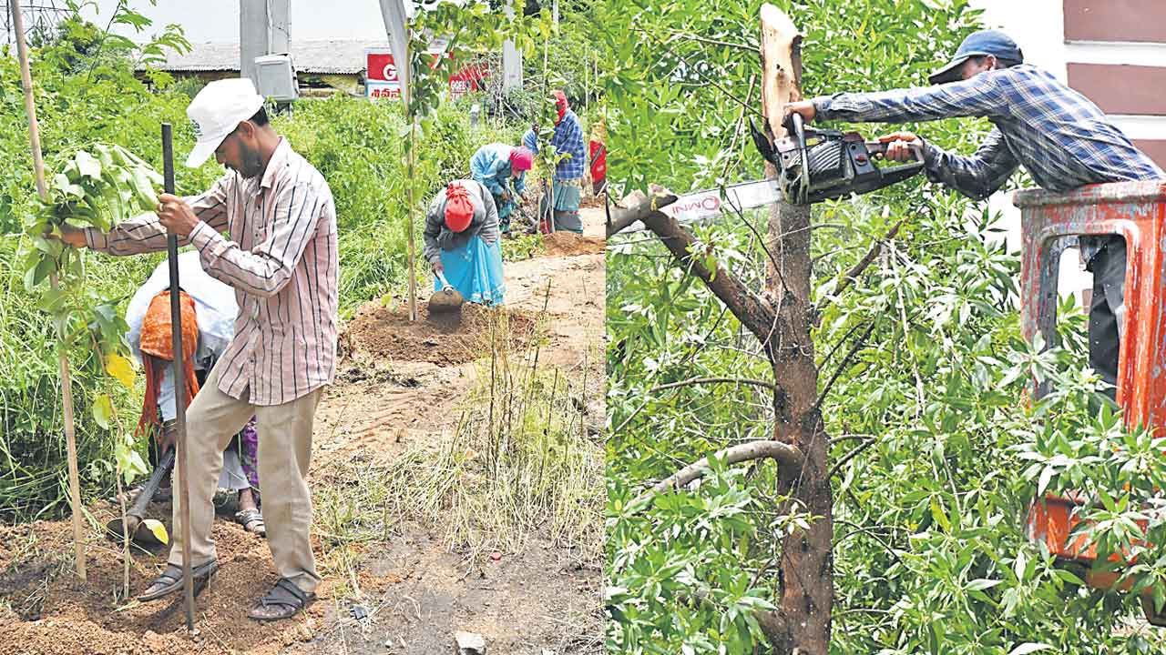 నీరుగారుతున్న పర్యావరణ లక్ష్యం
