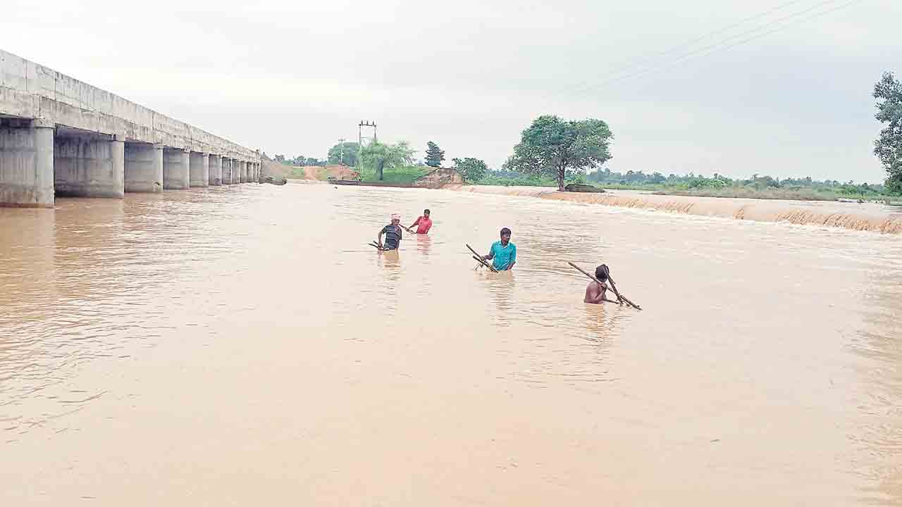 ముంచెత్తిన ముసురు