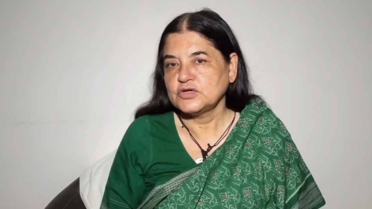 Maneka Gandhi | ఆయనపై అనర్హత వేటువేసి నన్ను ఎంపీగా ప్రకటించండి.. అలహాబాద్‌ హైకోర్టులో మేనకాగాంధీ పిటిషన్‌