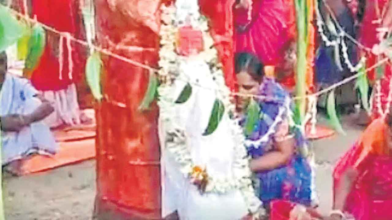 West Bengal | భూతాపాన్ని తగ్గించేందుకు.. మర్రిచెట్టుకు, రావి చెట్టుకు పెండ్లి