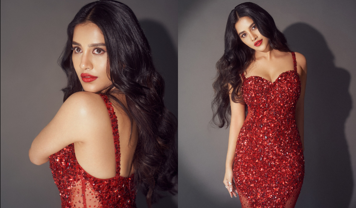 Nabha Natesh | చిట్టిపొట్టి దుస్తుల్లో కొంటె చూపులతో హీటెక్కిస్తున్న నబా నటేష్