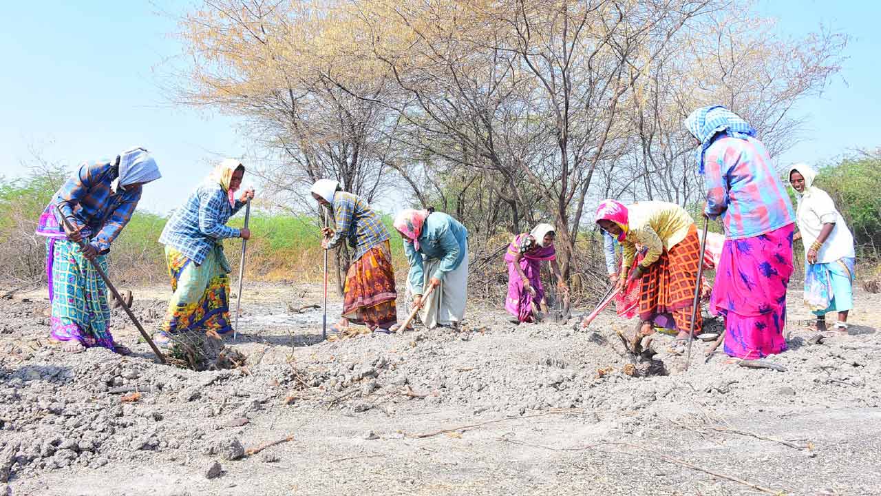 పెరిగిన ‘ఉపాధి’