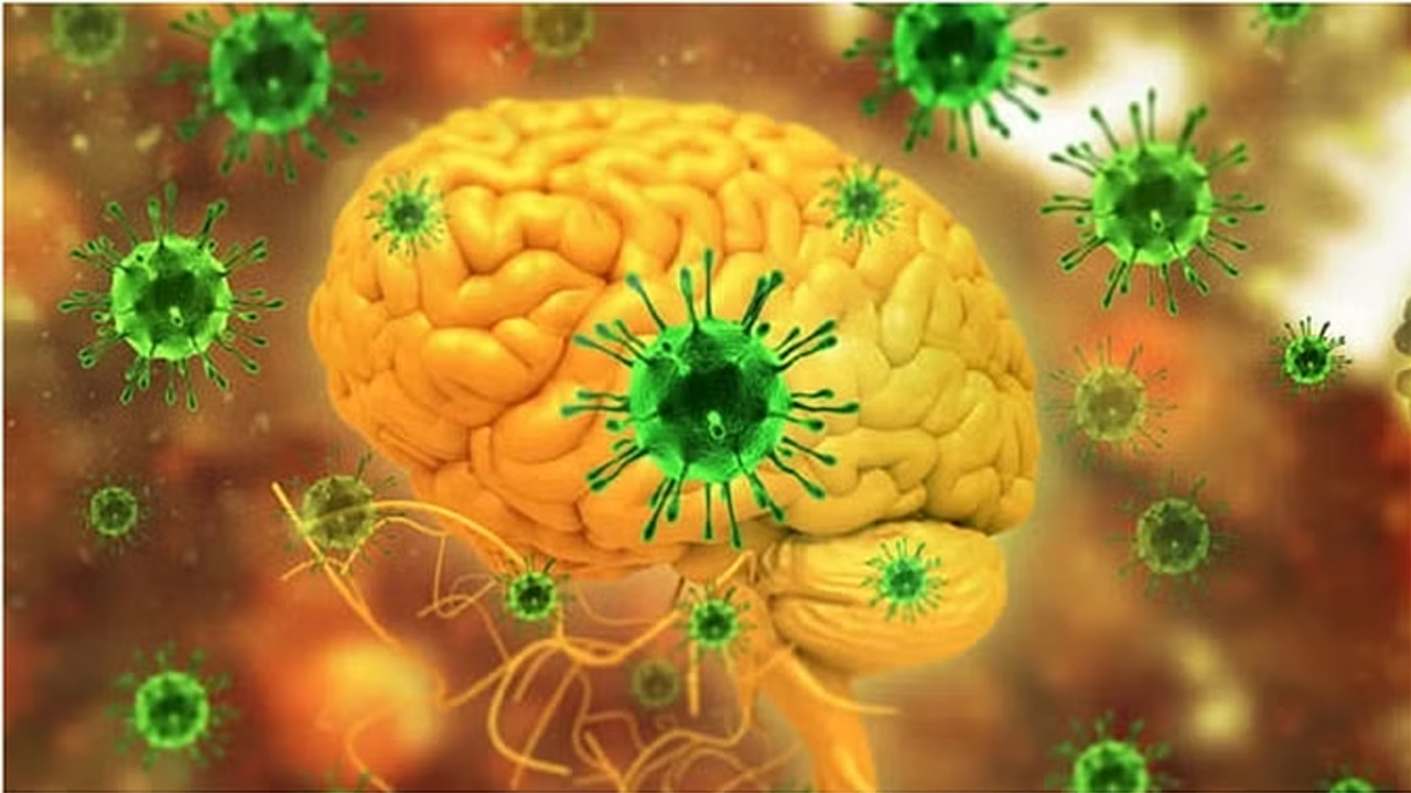 Nipah Virus | నిపా వైరస్ బాలుడు గుండెపోటుతో కన్నుమూత..! కేరళలో కలకలం..!