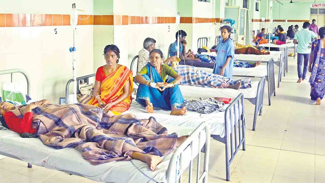 సర్కారీదవాఖాన కిటకిట