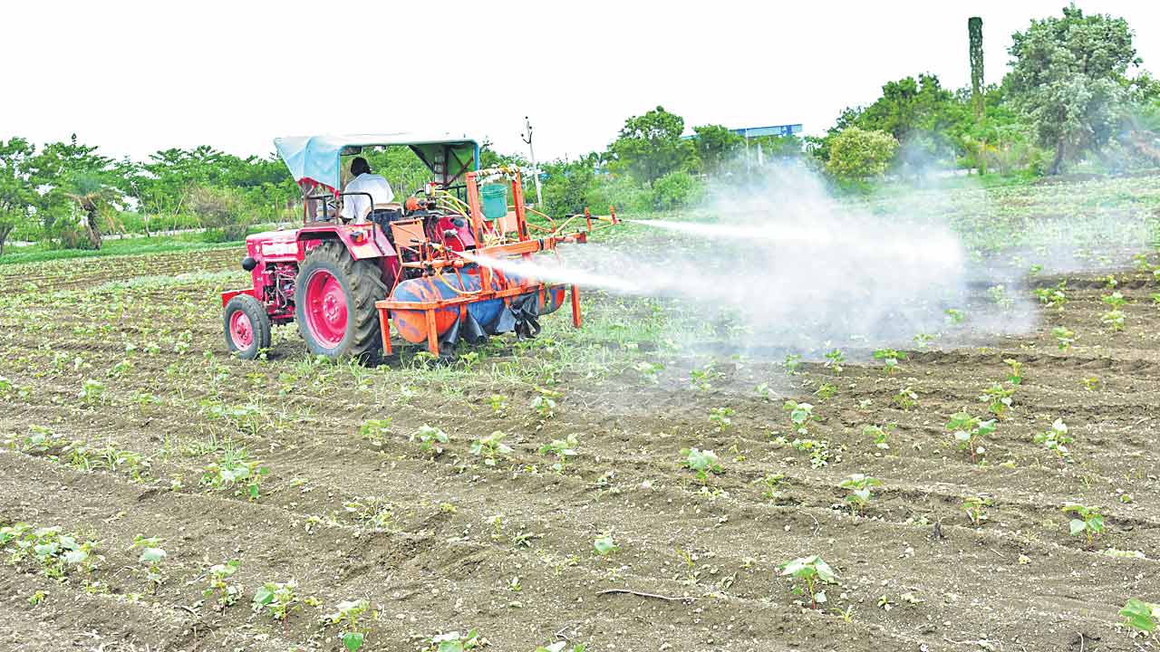 పత్తి కే మొగ్గు