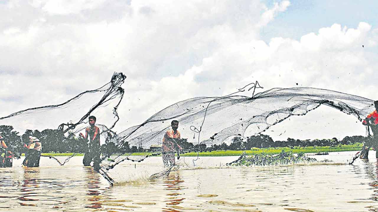 అవినీతి లెక్క.. చెరువుకే ఎరుక!