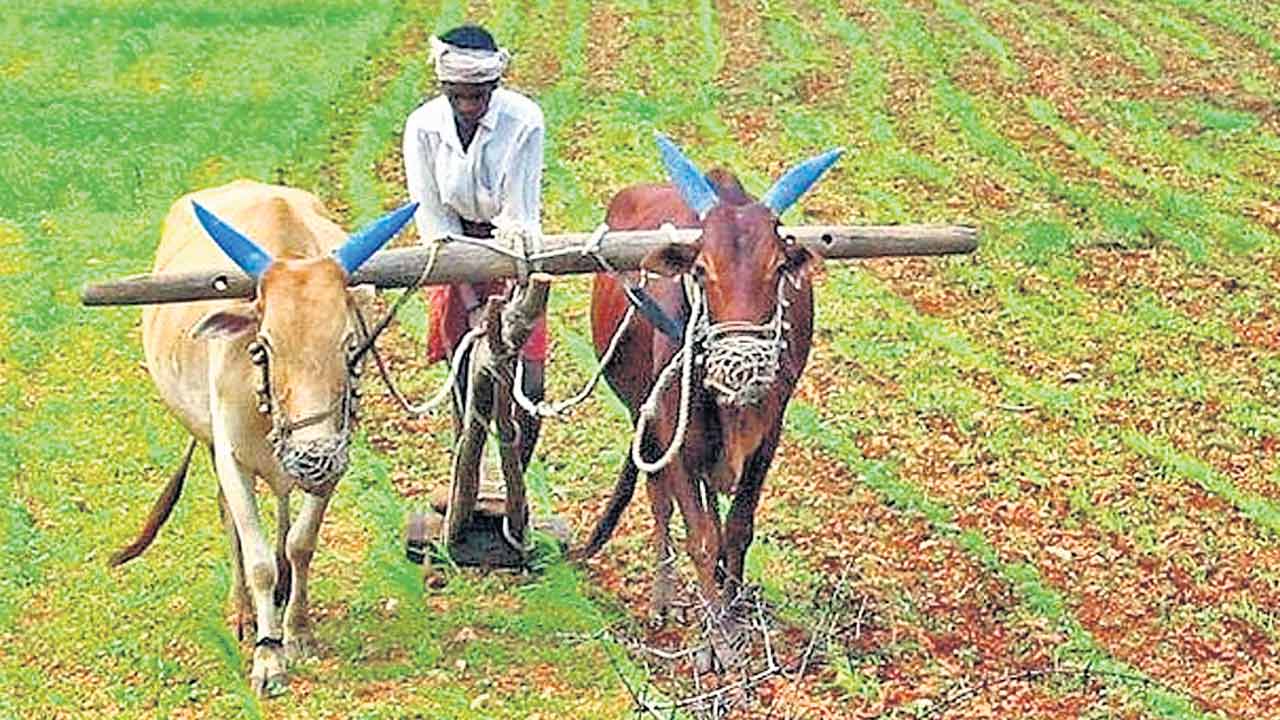 సాగు లెక్క పక్కాగా..