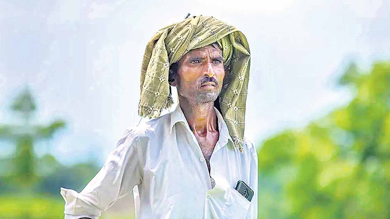 మాఫీ.. మాకేదీ!