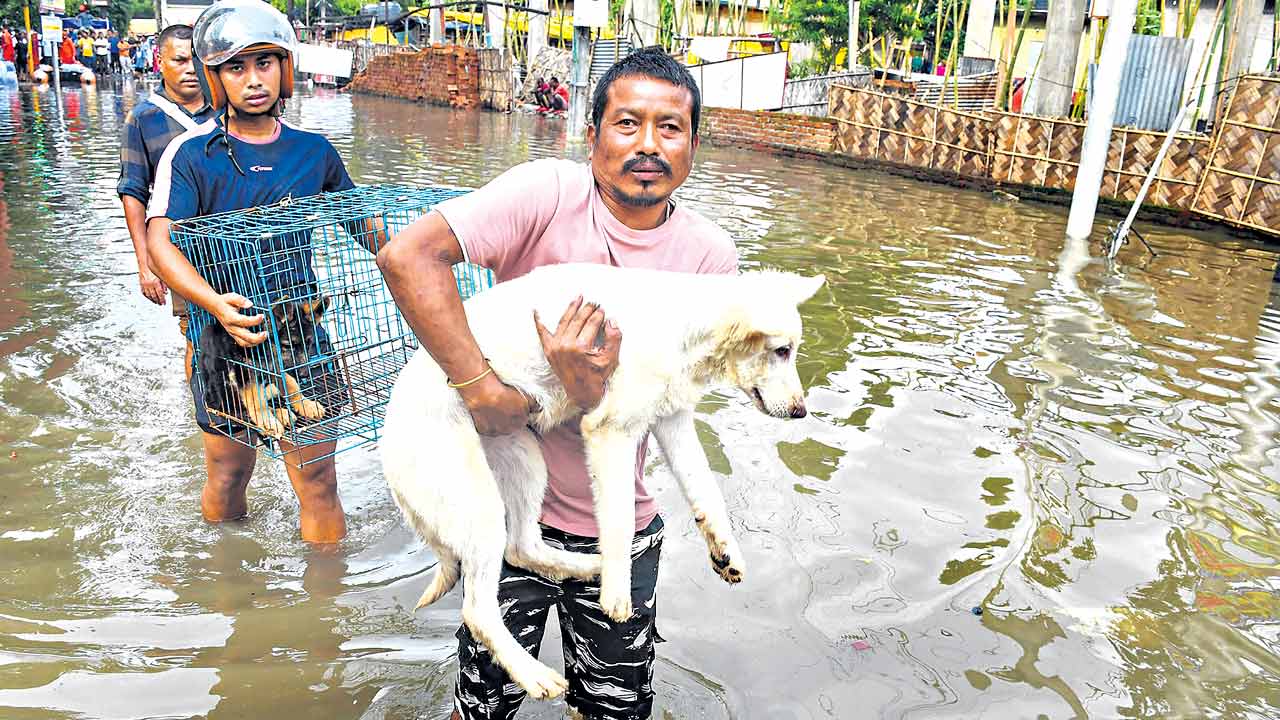 అస్సాంలో వరద బీభత్సం