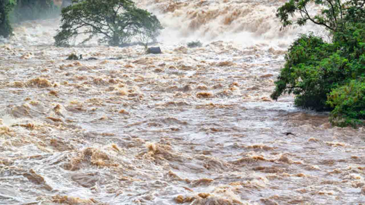 AP News | వాగులో కొట్టుకుపోయిన కారు.. కాపాడాలని ఐదుగురు బాధితుల ఆక్రందనలు