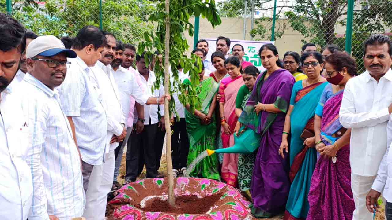 Sabitha Indra Reddy | బీఆర్‌ఎస్‌ హయాంలో రాష్ట్రంలో పచ్చదనం పెరుగుదల : మాజీ మంత్రి సబితా ఇంద్రారెడ్డి