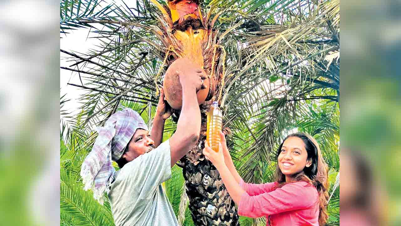 నీరా చక్కెర శ్రియ కానుక