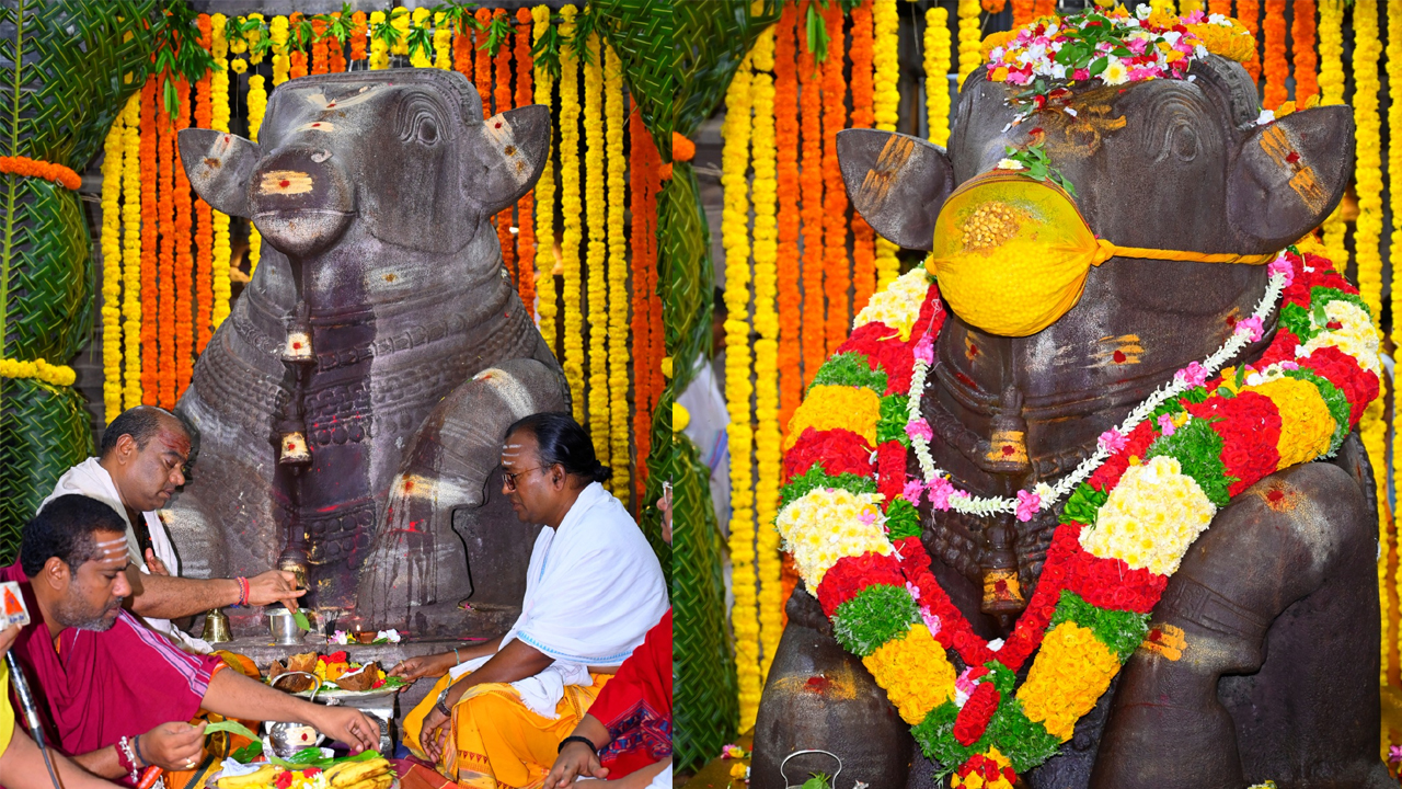 Srisailam Temple | శ్రీశైలంలో ఘనంగా త్రయోదశి పూజలు.. శనగల బసవన్నకు ...