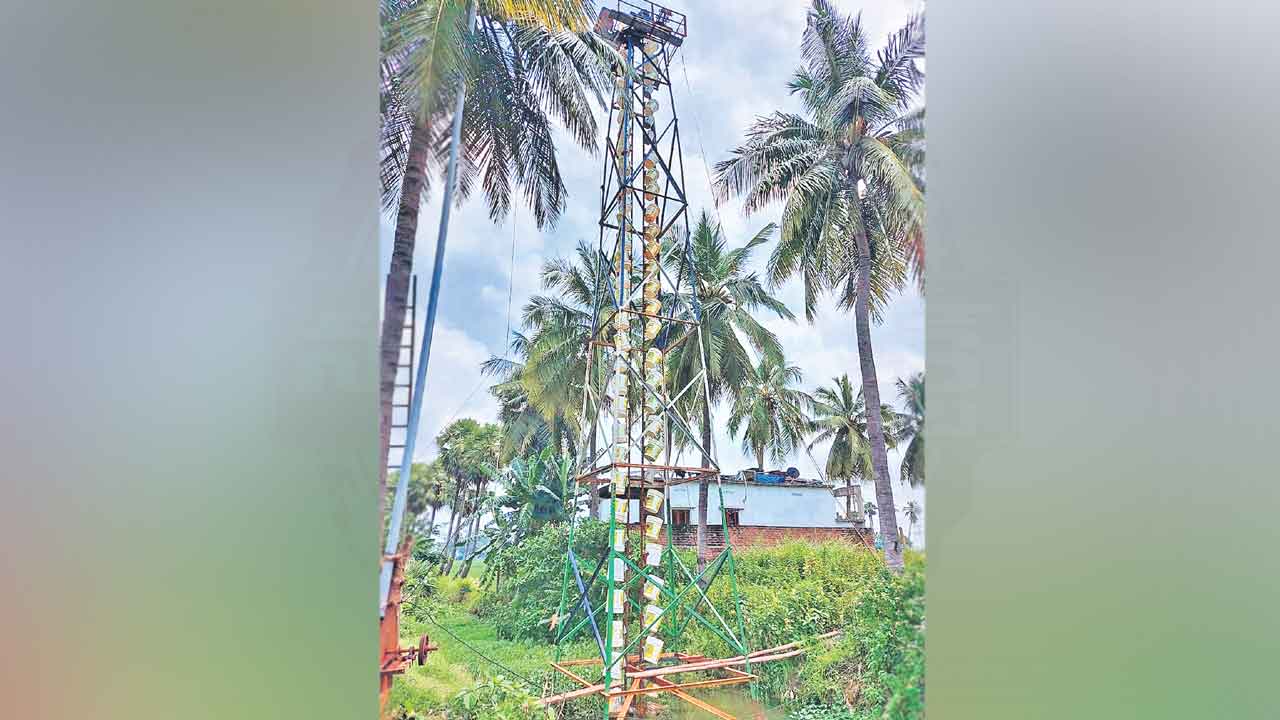 బురద..బంగారం!