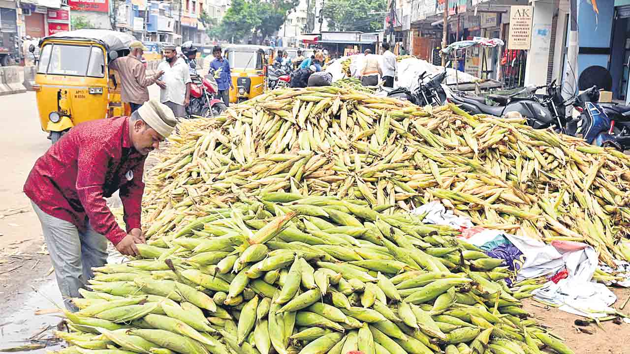 Corn | మొక్కజొన్నకు హైదరాబాదీలు ఫిదా.. పక్క రాష్ర్టాల నుంచి దిగుమతి
