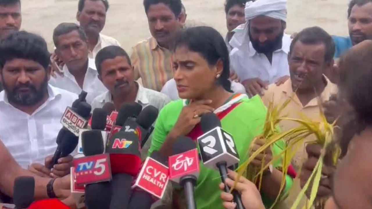 YS Sharmila | నడుము లోతు నీళ్లలో వెళ్లి దెబ్బతిన్న పంటలను పరిశీలించిన వైఎస్‌ షర్మిల.. Video