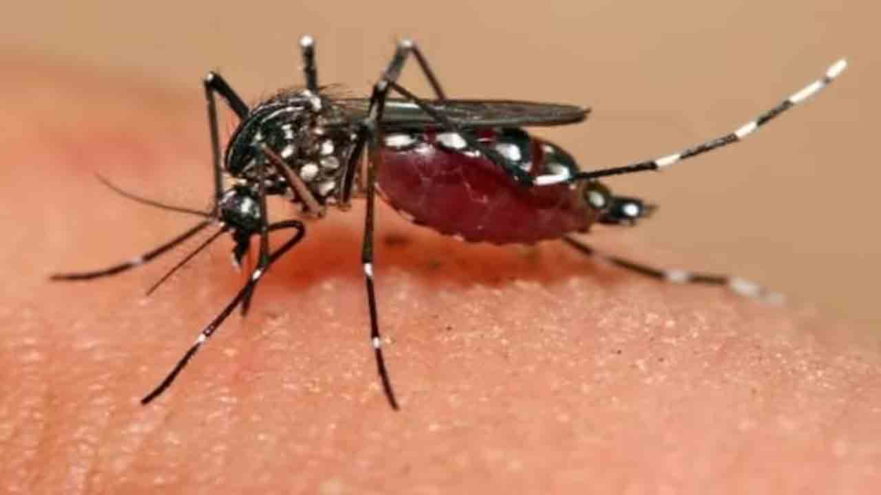 Zika virus | పూణెలో జికా వైరస్‌ కలకలం.. అన్ని రాష్ట్రాలకు కేంద్రం అడ్వైజరీ
