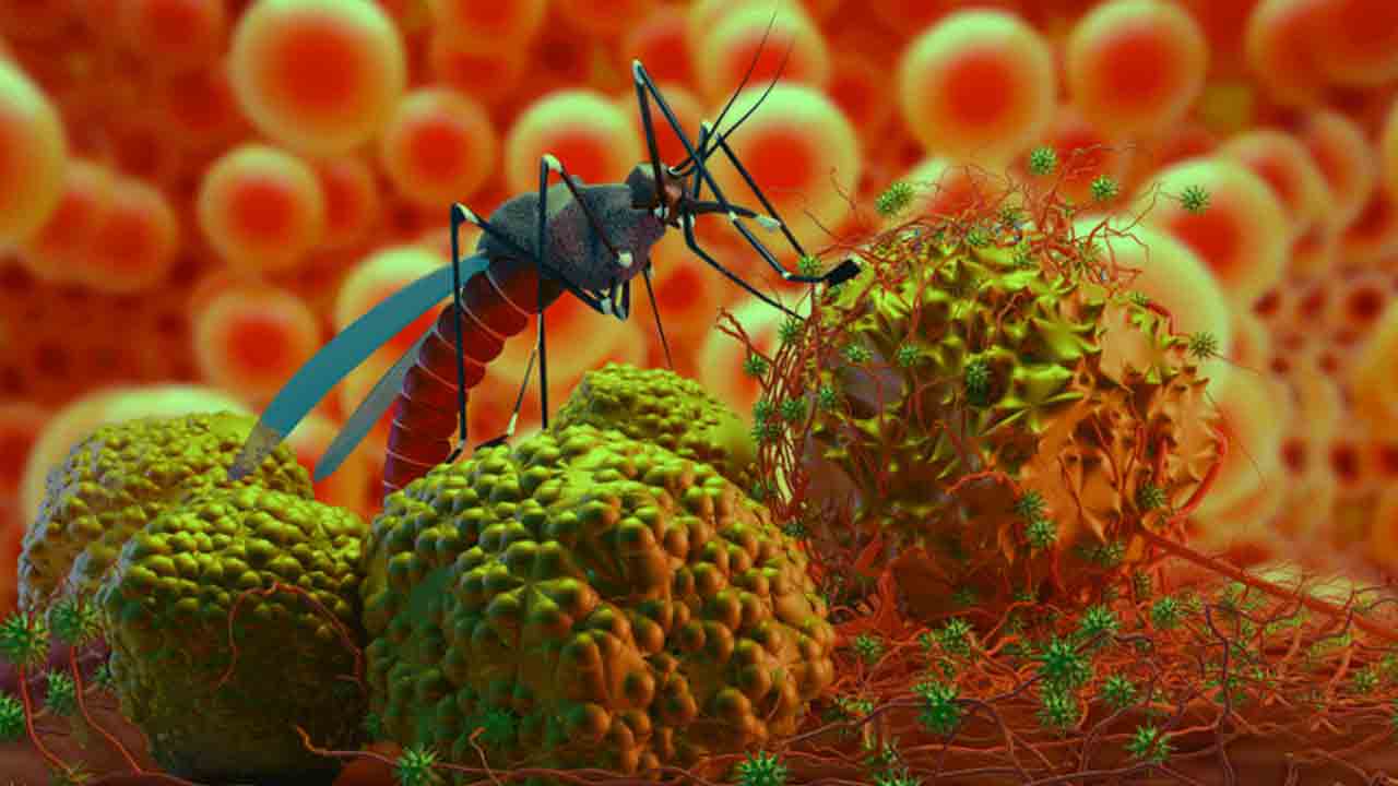 Zika Virus | పుణెలో జికా వైరస్ కలకలం‌.. ఇద్దరు గర్భిణులకు పాజిటివ్‌