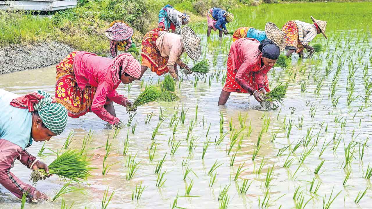 Rythu Bharosa | ఖాతాల్లో జమ కానీ రైతు భరోసా నిధులు.. భయం గుప్పెట్లో వ్యవసాయ అధికారులు..!