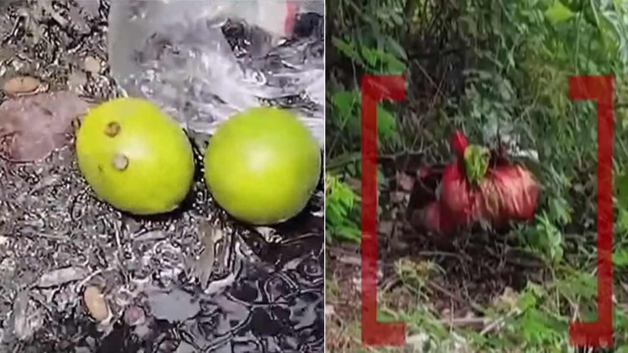 Ghost Obstruction | ‘అభివృద్ధి పనులను దెయ్యాలు అడ్డుకుంటున్నాయి’.. నిమ్మకాయ కొయ్యాలన్న   బీజేపీ ఎంపీ