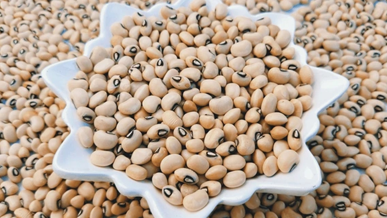 Health tips | మీరు మధుమేహులా.. బొబ్బర్లతో ఎన్ని లాభాలో తెలుసా..?