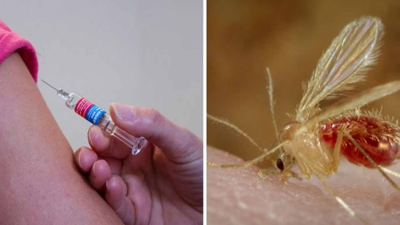 Chandipura virus : చాందిపుర వైర‌స్ సోకి న‌లుగురు పిల్ల‌లు మృతి..