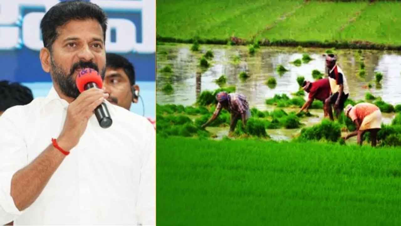 ఎగవేతల రుణమాఫీ