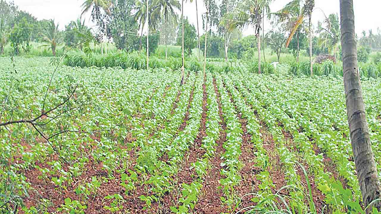 3 లక్షలు దాటింది ..