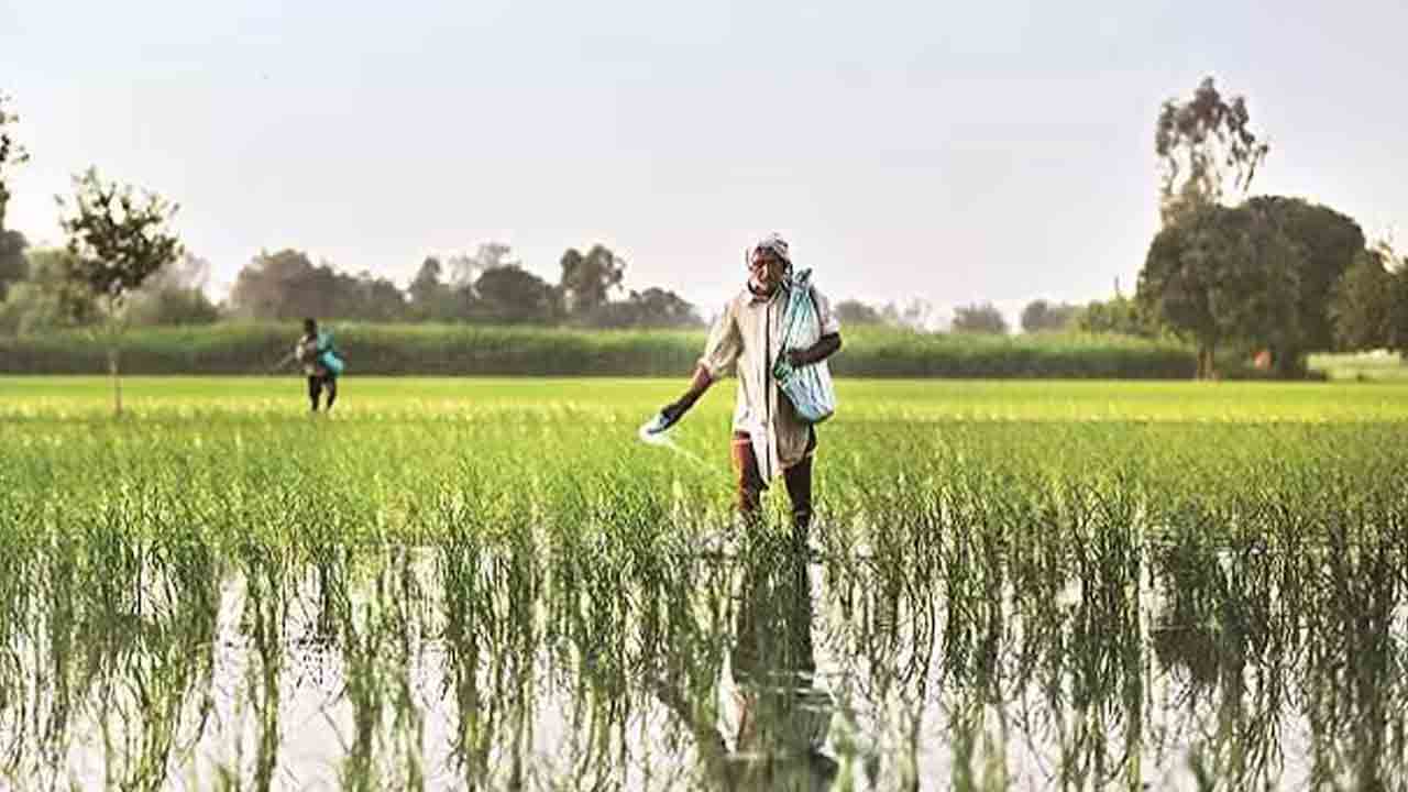 Telangana | రీషెడ్యూల్ రుణాల‌కు రుణ‌మాఫీ వ‌ర్తించ‌దు.. కీల‌క‌మైన మార్గ‌ద‌ర్శ‌కాలివే..!