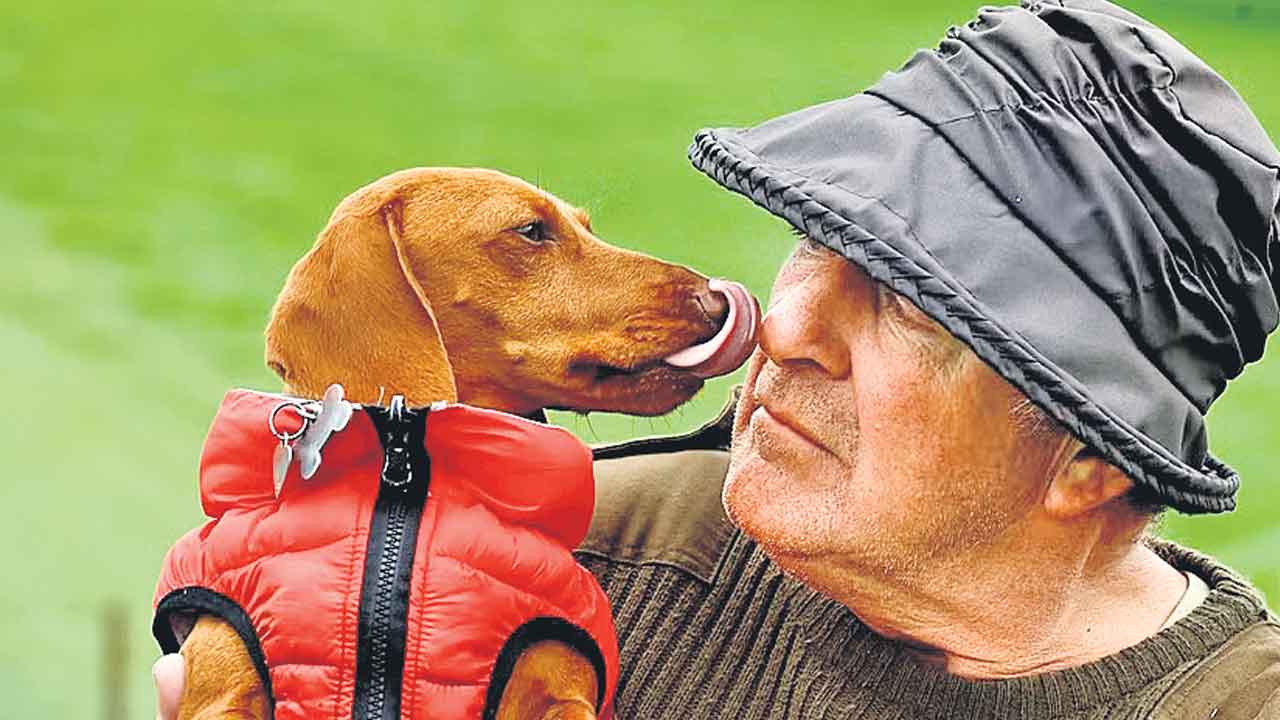 Gods | మనిషి ఒత్తిడికి తగ్గట్టు శునకాలూ మారుతాయ్‌!