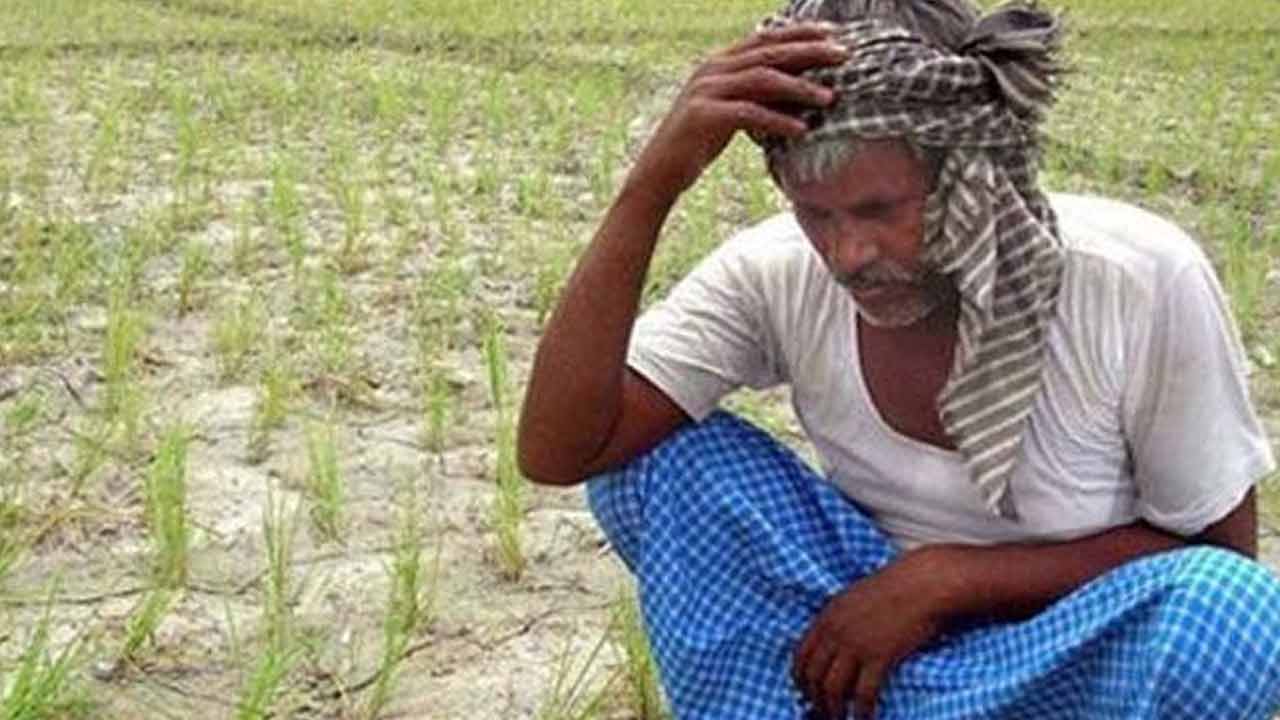 మరో విడుతలోనూ.. మాఫీ.. మెసమే