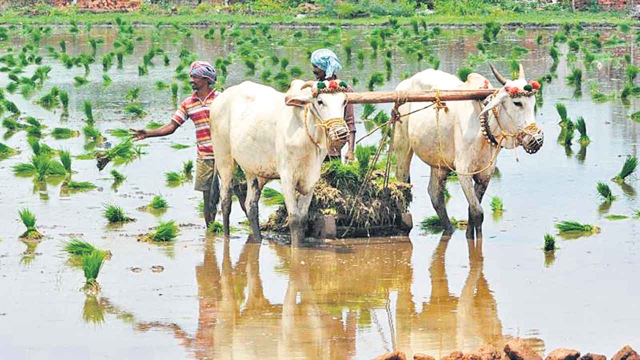 రుణమాఫీకి రేషన్‌కార్డు పీటముడి