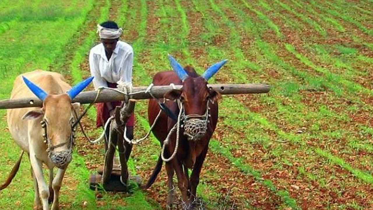 రైతులందరికీ రుణమాఫీ వర్తింపజేయాలి.. తెలంగాణ రైతు సంఘం డిమాండ్‌