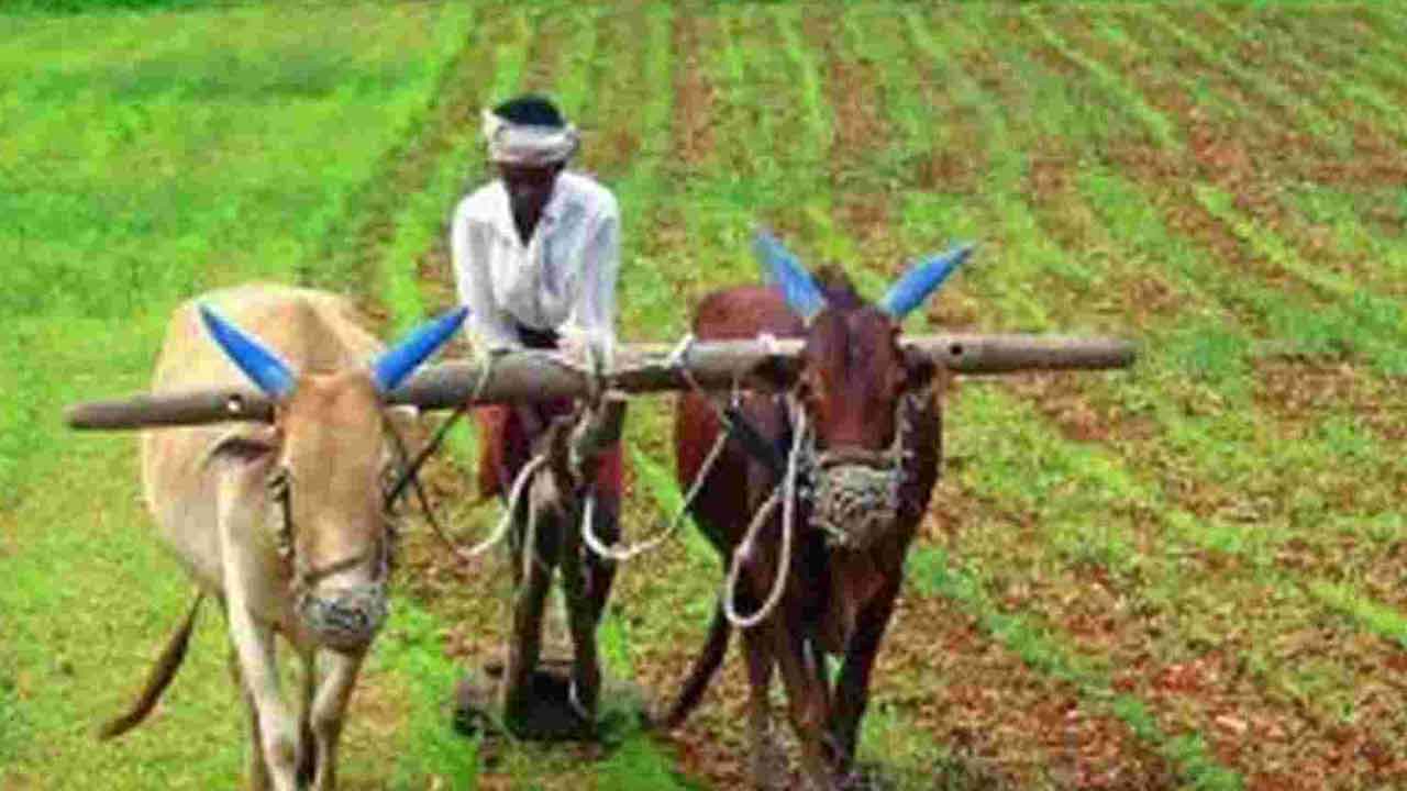 Runa Mafi | రైతు చేయని అప్పులూ మాఫీ!.. సీఎం పేరిట మెసేజ్‌లు రావడంతో రైతులు పరేషాన్‌