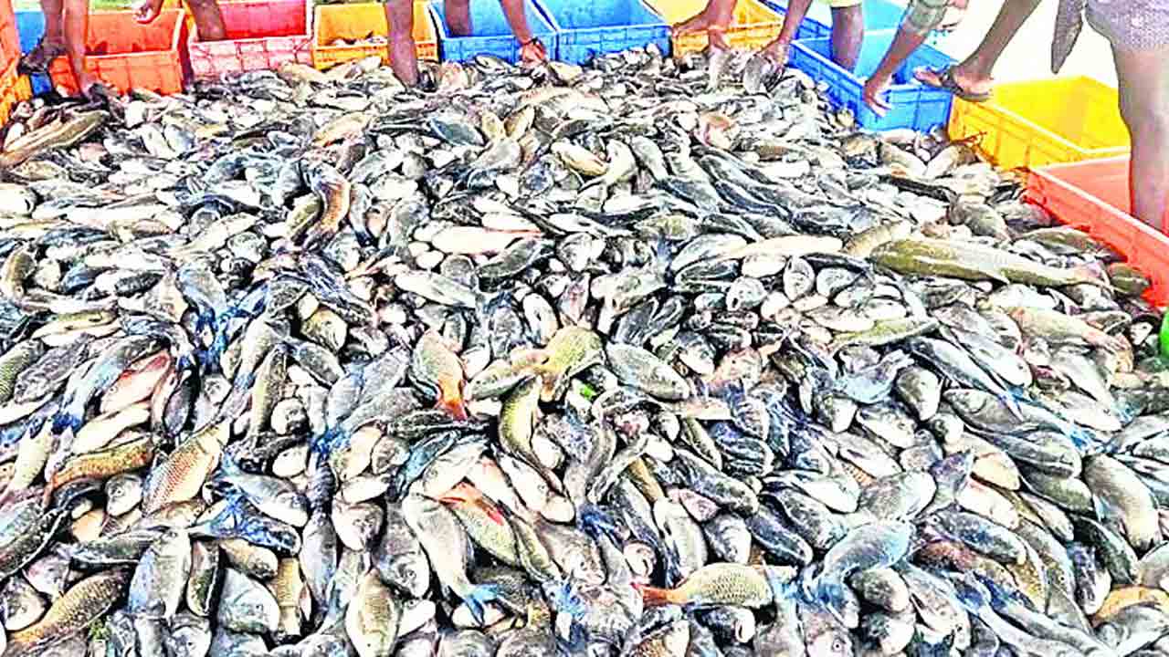 చెరుపుకు చేప చేరేదెన్నడో ?