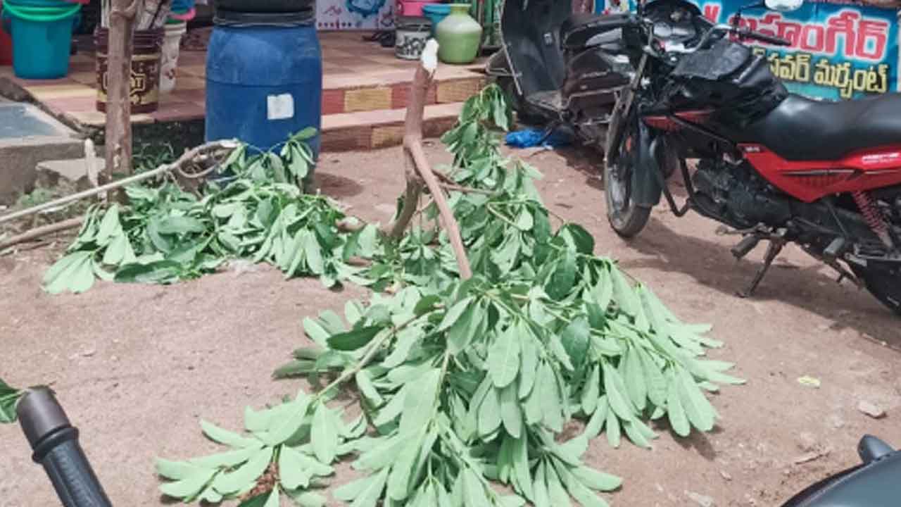 Harithaharam | హరితహారం చెట్టు నరికివేత.. రూ.4 వేల జరిమానా విధించిన అధికారులు