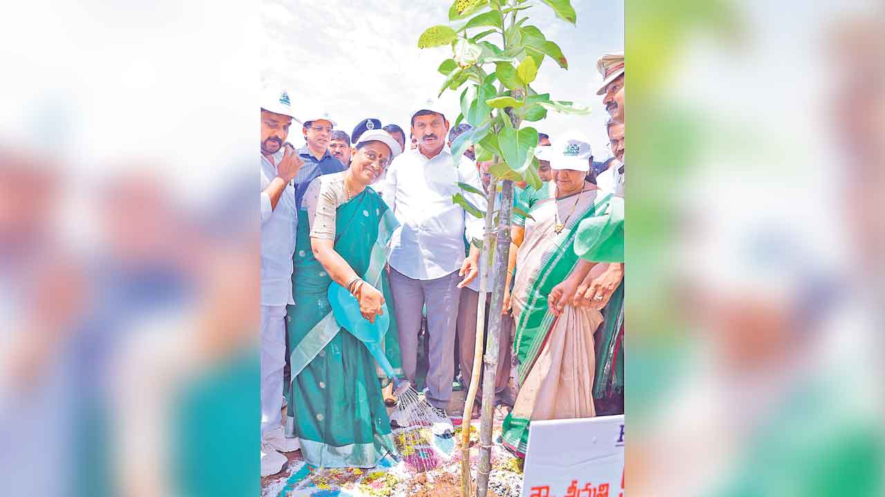 జిల్లాల్లోనూ వన మహోత్సవం