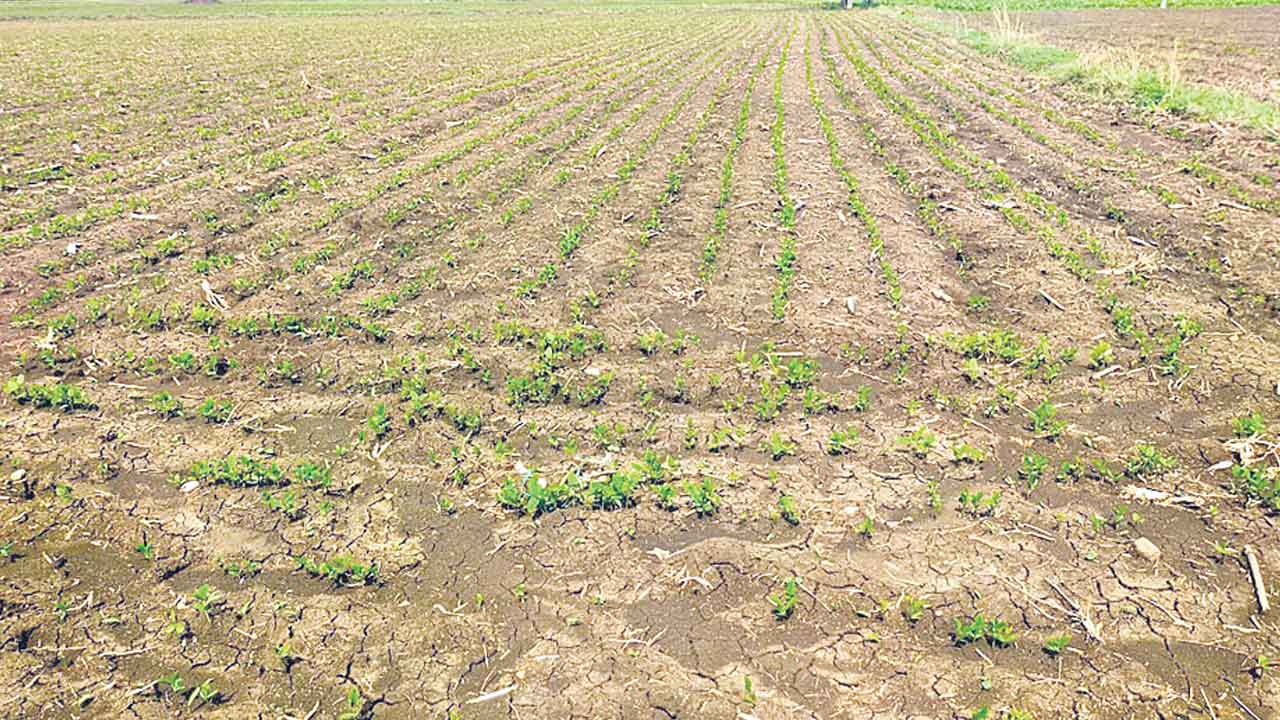 రైతుబంధుపై రంది.. సాగు ప్రారంభమైనా అందని సాయం