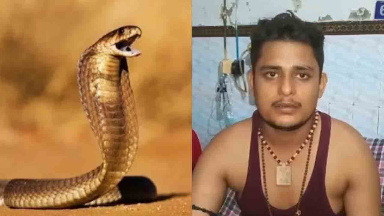 Snake Bites Man Every Saturday | ప్రతి శనివారం వ్యక్తిని కాటేస్తున్న పాము.. ఆశ్చర్యపోతున్న డాక్టర్లు
