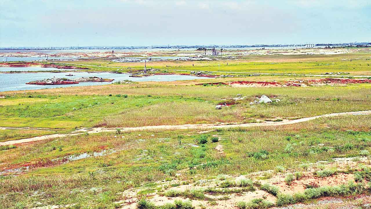 Maneu Pond