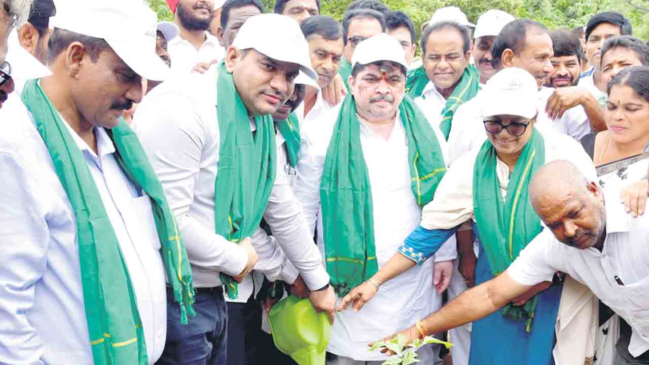 ప్రతి ఒక్కరూ మొక్కలు నాటాలి