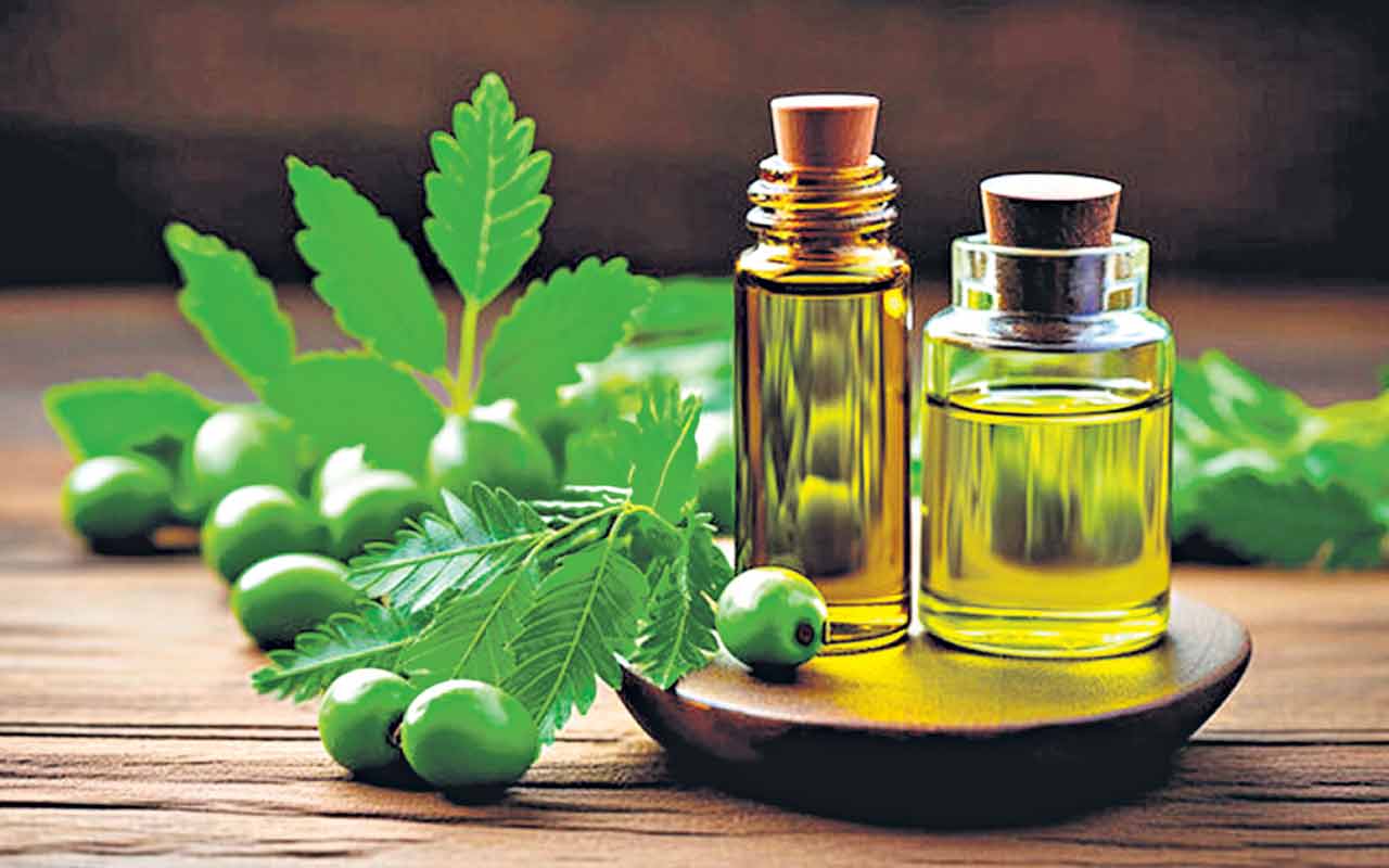 Beauty tips | చేదు నూనెతో చమక్కు.. వేప నూనెతో చర్మానికి నిగారింపు..!