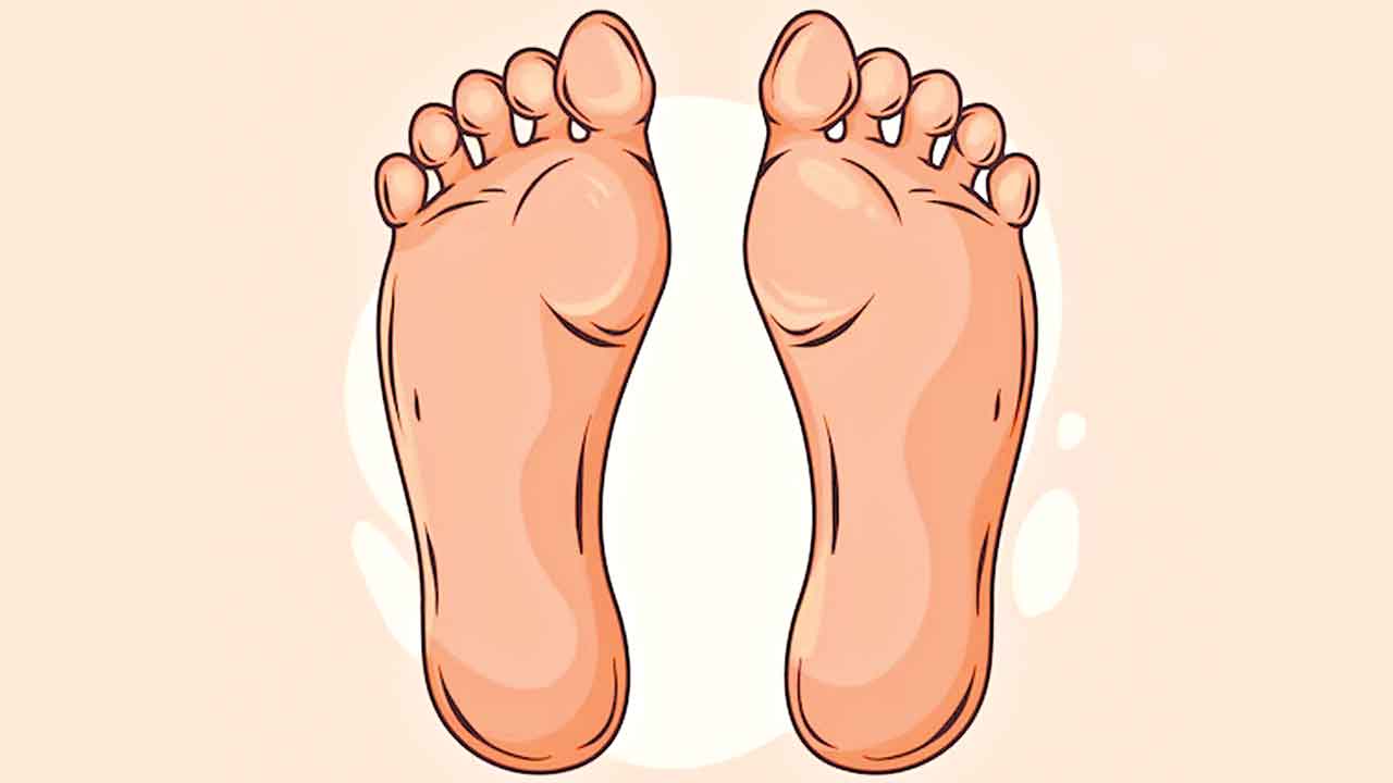 Padalu