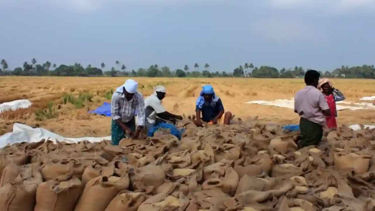 33 రకాల సన్నాలకు బోనస్‌.. జాబితా విడుదల చేసిన వ్యవసాయ శాఖ